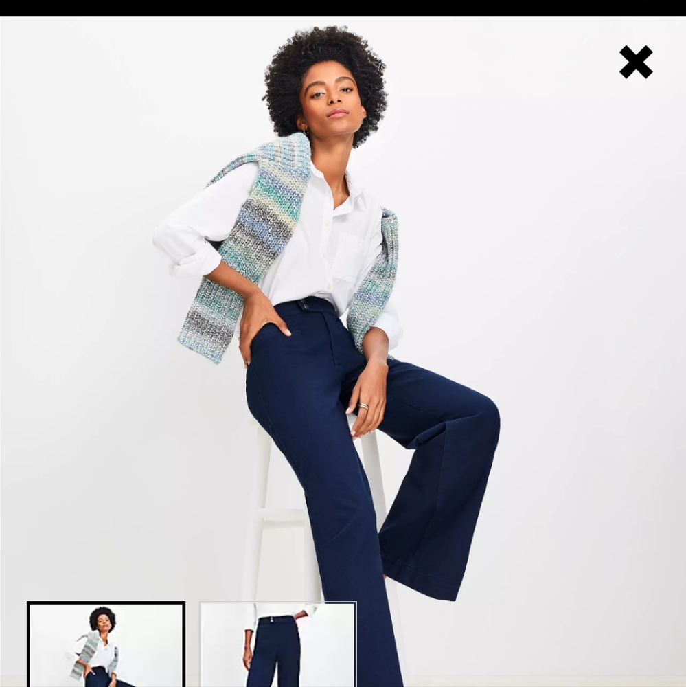 NWT Ann Taylor Palmer Wide Leg Pants